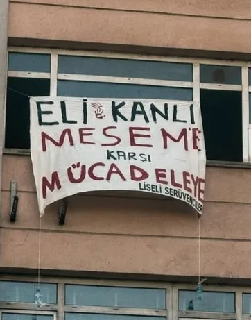 MESEM Programının Ekonomi Politiği