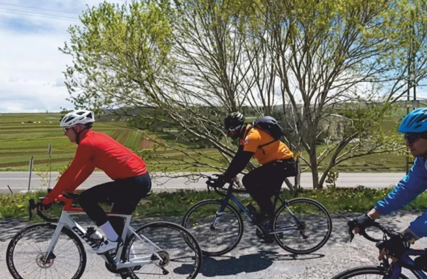 Valiye Sporcu Taytı Yasak: CHP Hedef Gösterdi, Ardahan Valisi Değişti