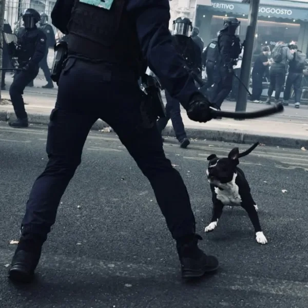 Fransa’da Yeni Polis Yasası