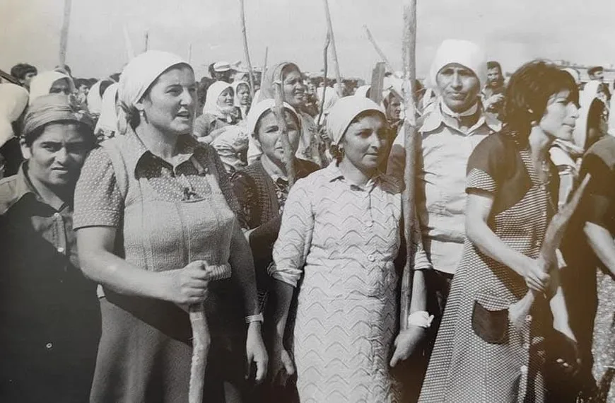 Eylül Ayı Film Önerilerimiz –  Darbeler, Diktatörlükler ve Direnişler