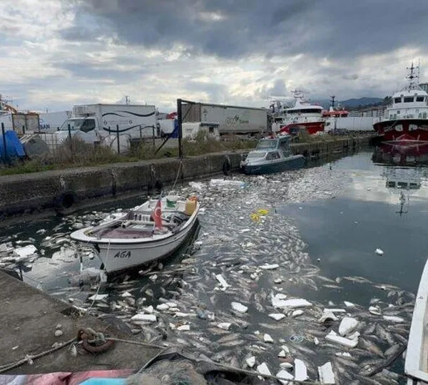 Balık Baştan Kokar