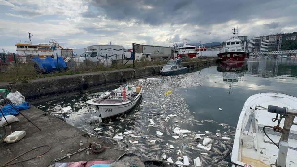 Balık Baştan Kokar